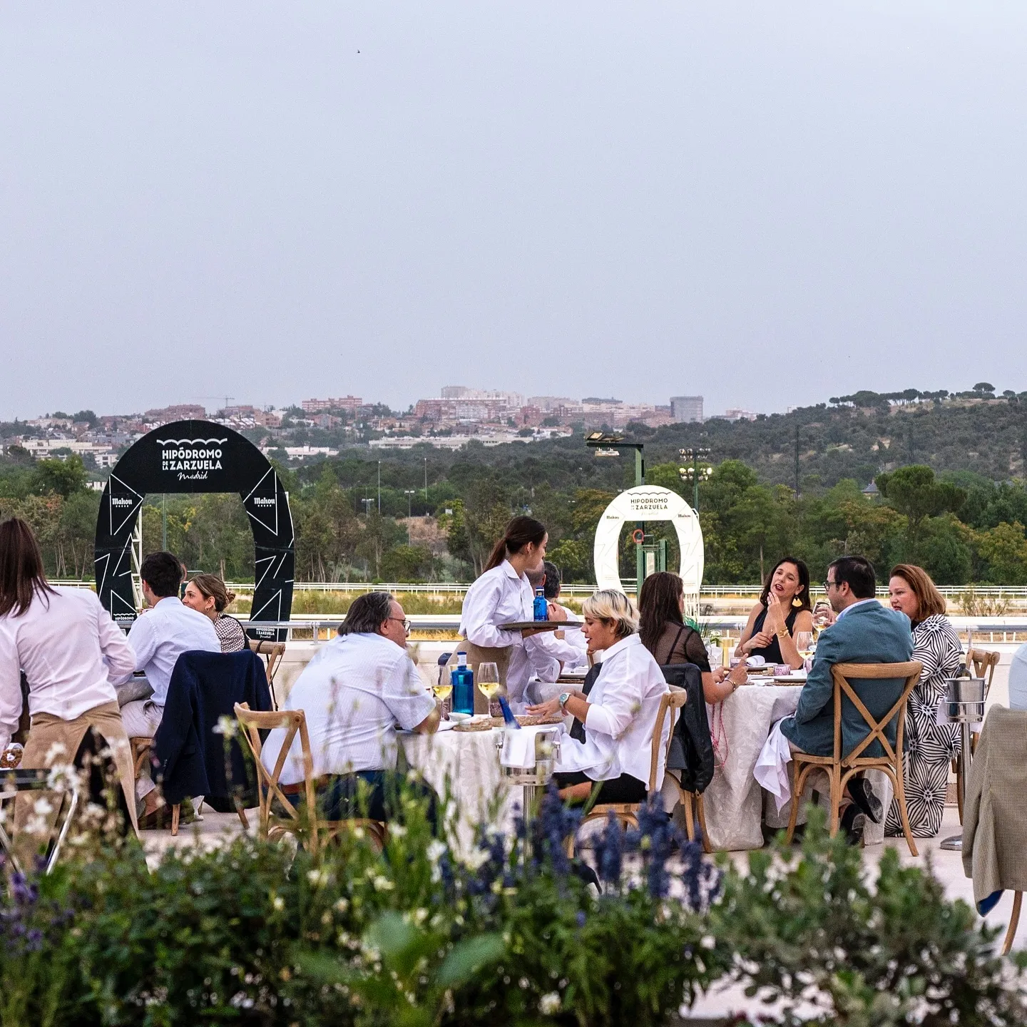 Cena al atardecer en el Hipódromo de la Zarzuela